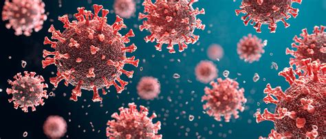 High Quality Human Coronavirus Nucleoproteins The Native Antigen Company