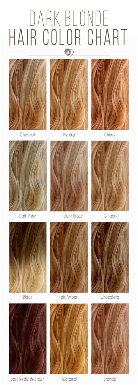 Pin By Hannah Lanz On Color Me Interesting Blonde Hair Color Chart