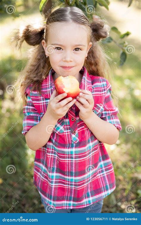 Girl With Apple In The Apple Orchard Stock Image Image Of Gardening