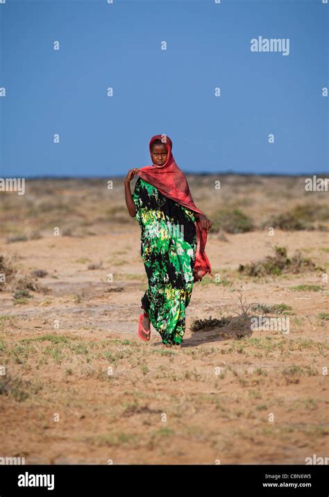 Desert Somaliland Somalia Fotos Und Bildmaterial In Hoher Auflösung