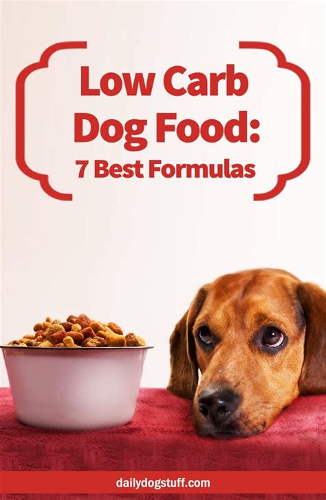 I think not when there are so many wholesome, fresh ingredients to choose from. Low Carb Dog Food: 7 Best Formulas | Dog food recipes ...
