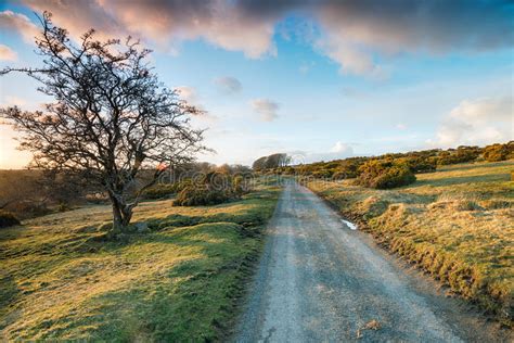 Country Lane Stock Image Image Of Nature Country Lonely 74952455
