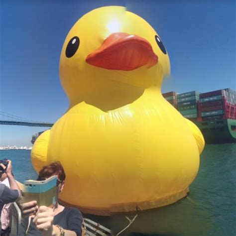 Giant Floating Rubber Duck By Florentijn Hofman In San Pedro Ca