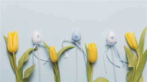 Desktop Wallpapers Easter Egg Tulips Flower 2560x1440