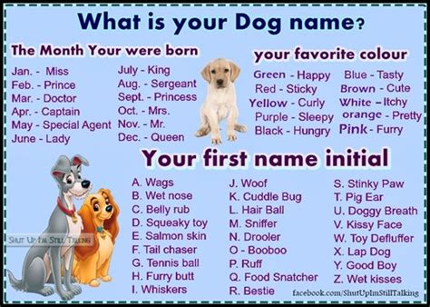 What Is Your Dog Name Funny Name Generator Dog Names Silly Names