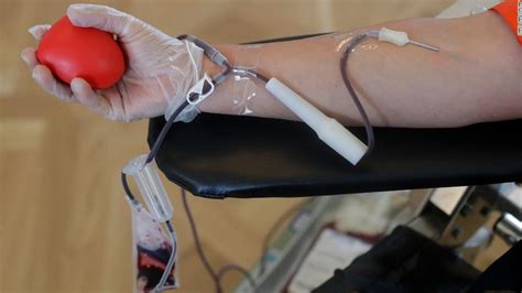 Glaad Criticizes Fda Ban On Blood And Plasma Donations From Gay And