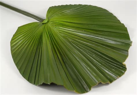 Artificial Fan Palm Leaf 32in