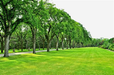 Park Trees Road Field Lawn Wallpapers Hd Desktop And Mobile