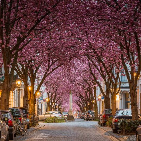 Top 10 Places to See in Bonn, Germany - Places To See In Your Lifetime