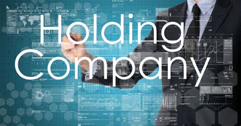 Holding Company Meaning Features And How To Set Up One