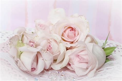 Wedding Roses Royalty Free Stock Photo