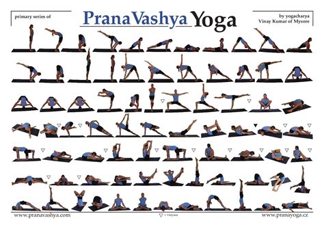 Metodo Derose Sequencias Asanas Pesquisa Google Vinyasa Flow Sequence Vinyasa Flow Yoga