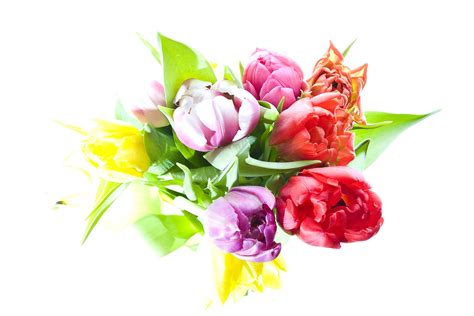 Die blumen erreichen den empfänger stets mit grußkarte und vase, die gratis ihrem blumengruß beigefügt werden. Blumenstrauß Foto & Bild | archiv, highkey, archiv 2011 ...