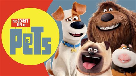 But a sequel to any movie usually means additional characters. The Secret Life Of Pets REAL LIFE All Characters ...