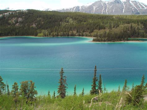 Emerald Lake Yukon Territory Seems Everyone Has An Emerald Lake
