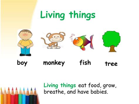 Ppt Living Things And Non Living Things Powerpoint Presentation Free