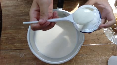 Bioteknologi Pembuatan Yoghurt Kulit Pisang YouTube