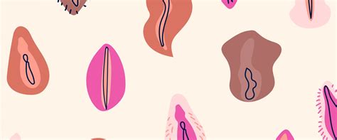 10 labia facts every woman should know youly