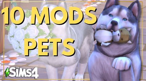 🐾os Melhores Mods Para Pets 🐶mod Review 🐱the Sims 4 Youtube