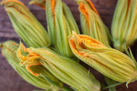 How do you like to prepare them? Zucchini Blossoms à la Provençale - A Recipe by The ...
