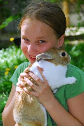 We serve all of miami dade & south broward county, since 2005, with the following services. Consider a Petting Zoo Rental for Your Child's Party