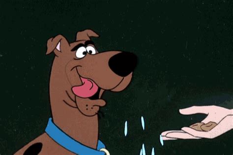 Scooby Doo Animated GIF Cartoon Gifs Cartoon Shows Cartoon Characters