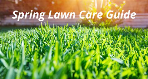 The best spring fertilizer for lawns is the one that you understand based on how your grass type moves through the spring and into. A Step by Step Guide to Spring Lawn Care | Atlanta Lawn Care