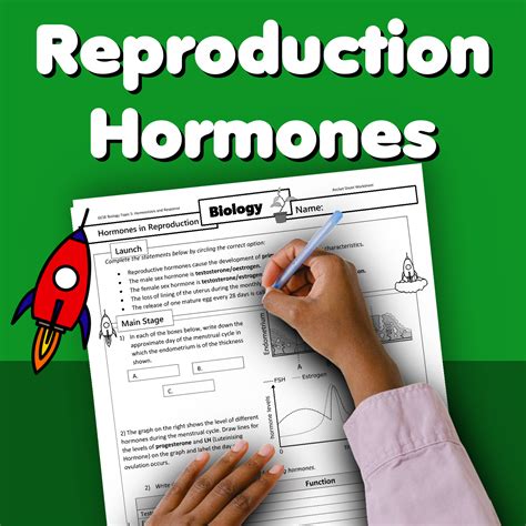 Reproduction Hormones Home Learning Worksheet Gcse Uk