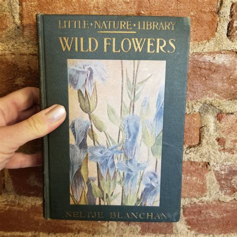 Wild Flowers Worth Knowing Neltje Blanchan 1922 Doubleday Page And Co