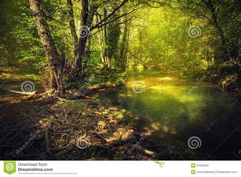 Sunset In The Beautiful Forest Mountain River Summer Landscape Stock
