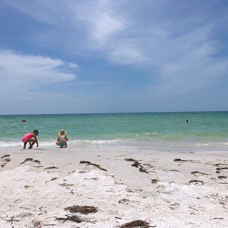 Caladesi Island State Park Dunedin 2018 All You Need To Know Before