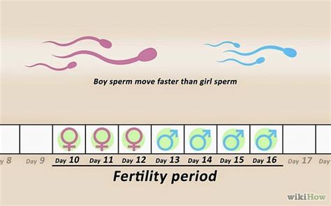 Positions To Conceive A Boy Pregnant With A Girl Baby Boy Tips How