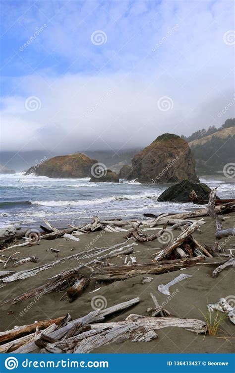 Foggy Oregon Coast With Driftwood And Rocks Stock Image Image Of