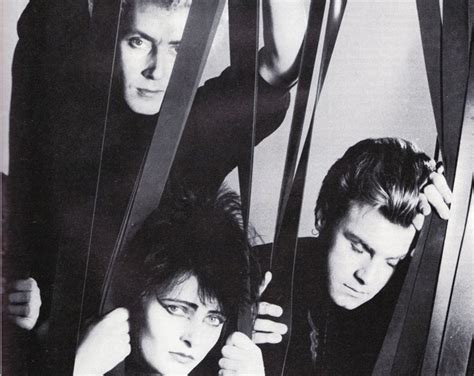Mega Caja De Los Siouxsie And The Banshees En Camino Con Toda Su Discograf A Cultture