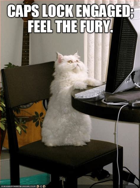 Stop Yelling At Me Lolcats Lol Cat Memes Funny Cats Funny