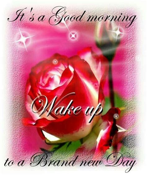 Famous new day quotes that will enrich your life. Good morning | Brand new day, Good morning, Day