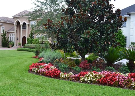 Landscaping Ideabegonia Flower Bed Gives Great Contrast With The