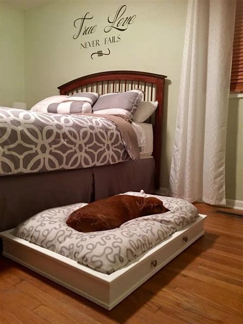 They are framed with metals are raised from the floor. Doggie trundle...looks pretty and has wheels on the bottom ...