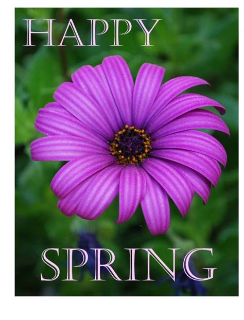 Happy Spring Spring Flowers Photography And Cards Cheer And Cherry