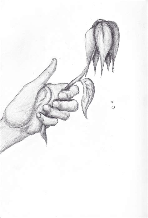 For more information, please visit occupant fonts. Wilted Gift by Lemonsamurai on DeviantArt