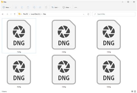 Dng File What It Is And How To Open One