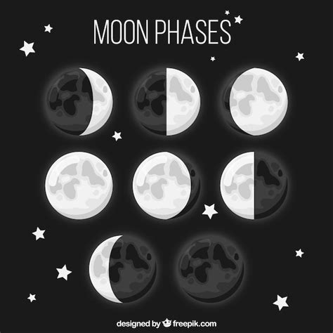 Eight Moon Phases In Flat Design Vector Free Download