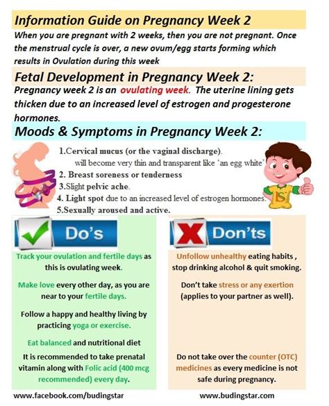 11% of couples trying to get pregnant have been trying for a year or longer without success. Pin on Pregnancy Tips