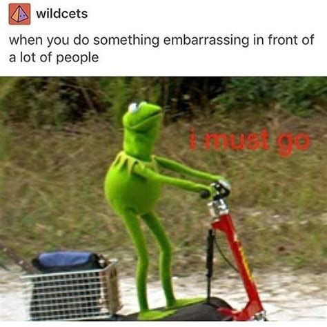26 Kermit Meme Thinking Meme