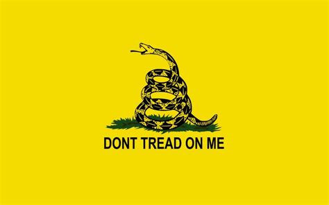 Beneath the rattlesnake are the words: American Patriot Daily - The Reason Liberals Are Protesting The Gadsden Flag Will Shock And Awe You