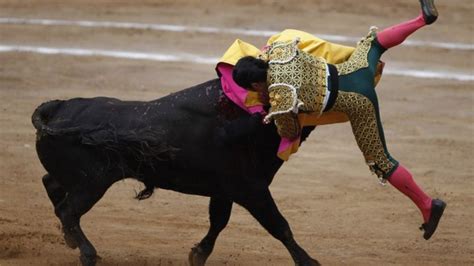 Mexico City Weighs Bullfighting Ban Bbc News