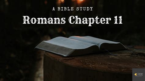 A Bible Study On Romans Chapter 11 By Zachary Murphy