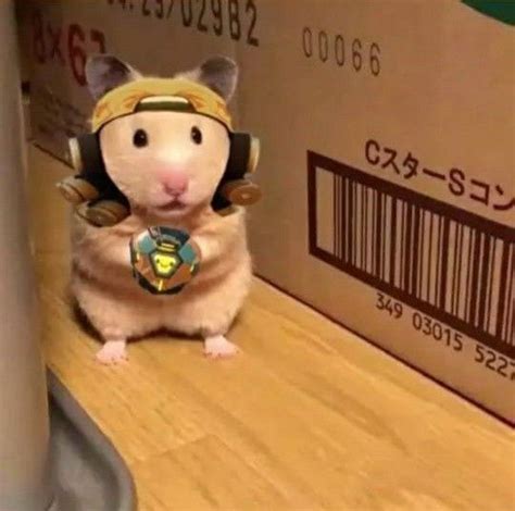 Hamster Raze Character Wallpaper Hamster Cute Memes