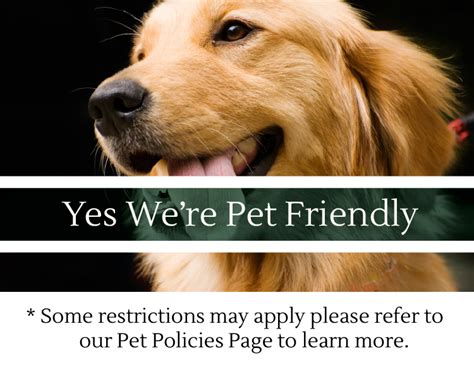 Inn At Cedar Falls - Pet Friendly | Pets, Dog friends, Pet friendly