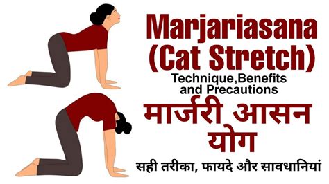 Marjariasana Cat stretch Technique Benefits Precautions मरजर आसन